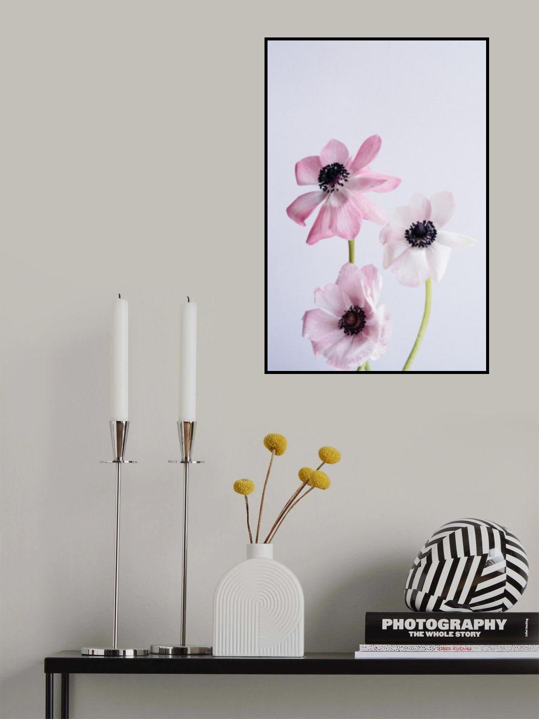Dancing Anemones Poster och Canvastavla