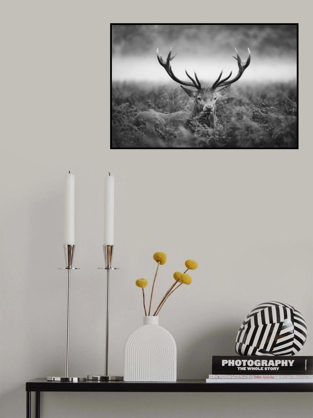 vVv Poster och Canvastavla