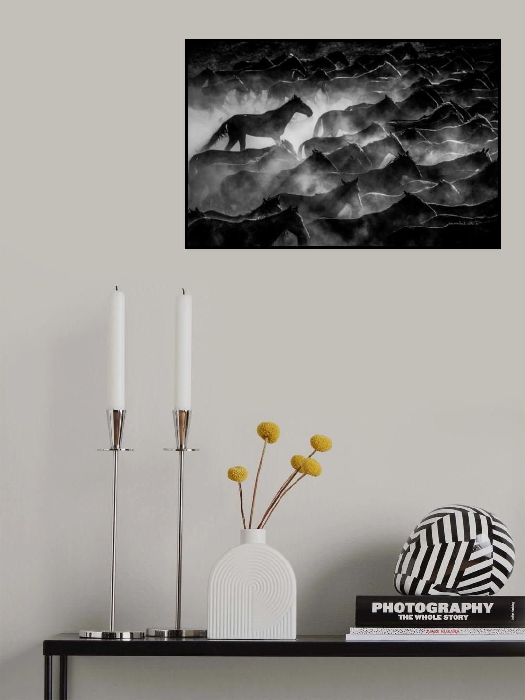 horses Poster och Canvastavla