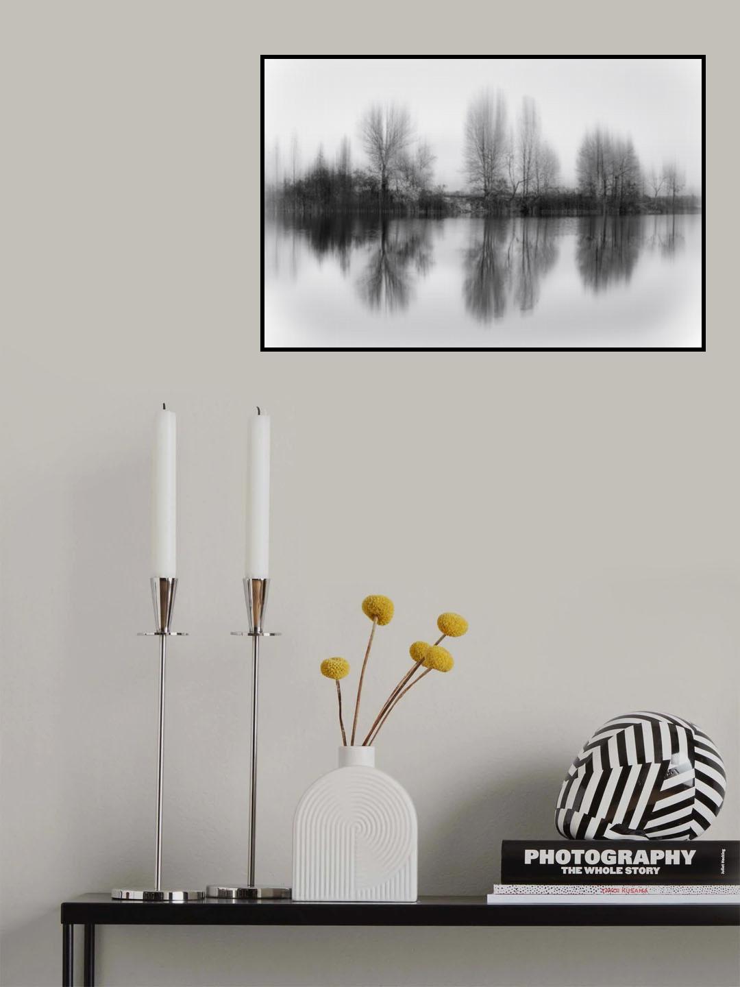 Reflected trees Poster och Canvastavla