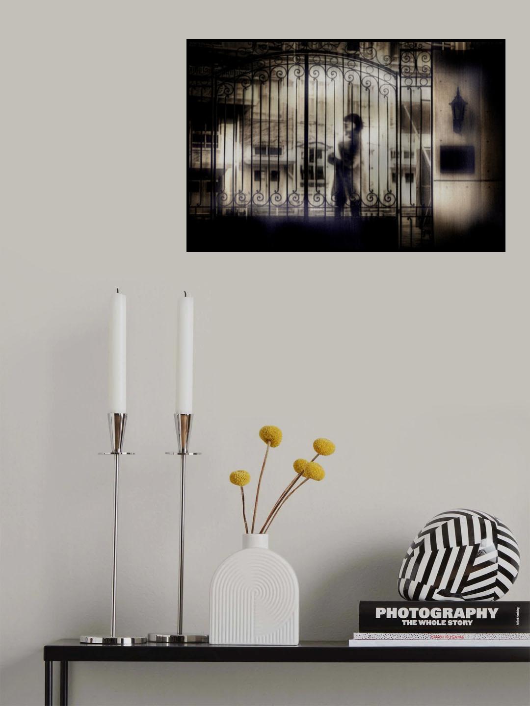 lady... Poster och Canvastavla