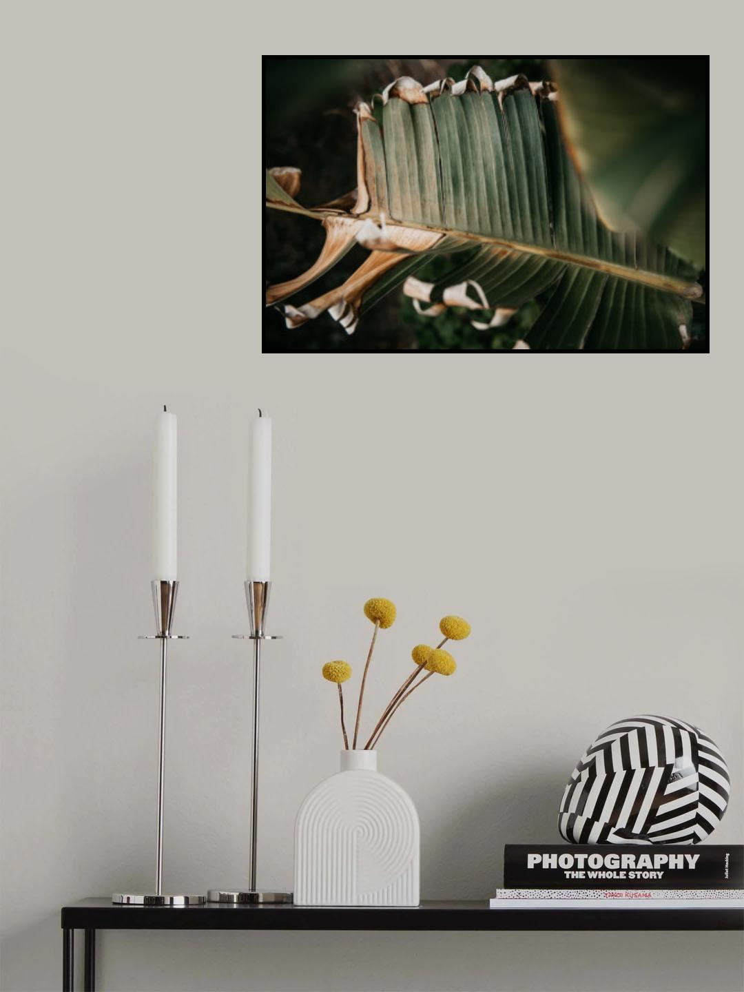 Palm Decay Poster och Canvastavla