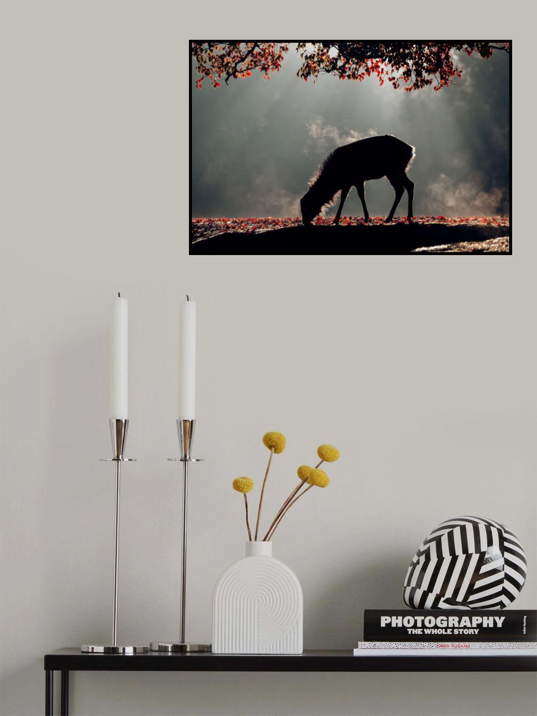 Spot light Poster och Canvastavla