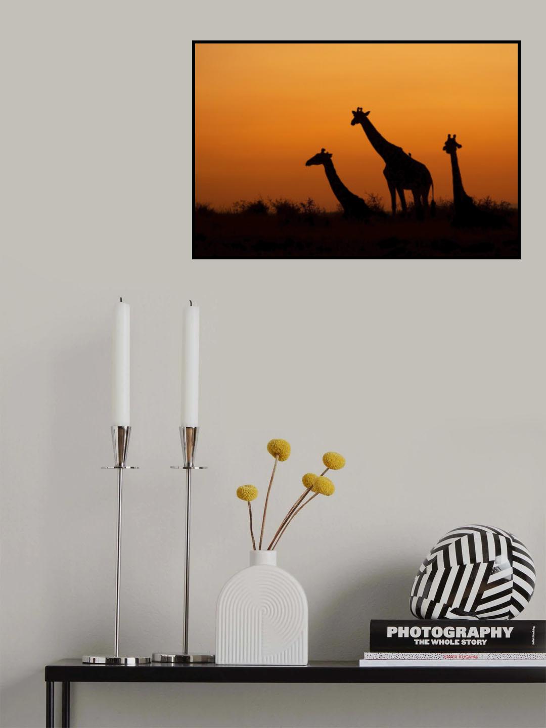 The dawn Poster och Canvastavla