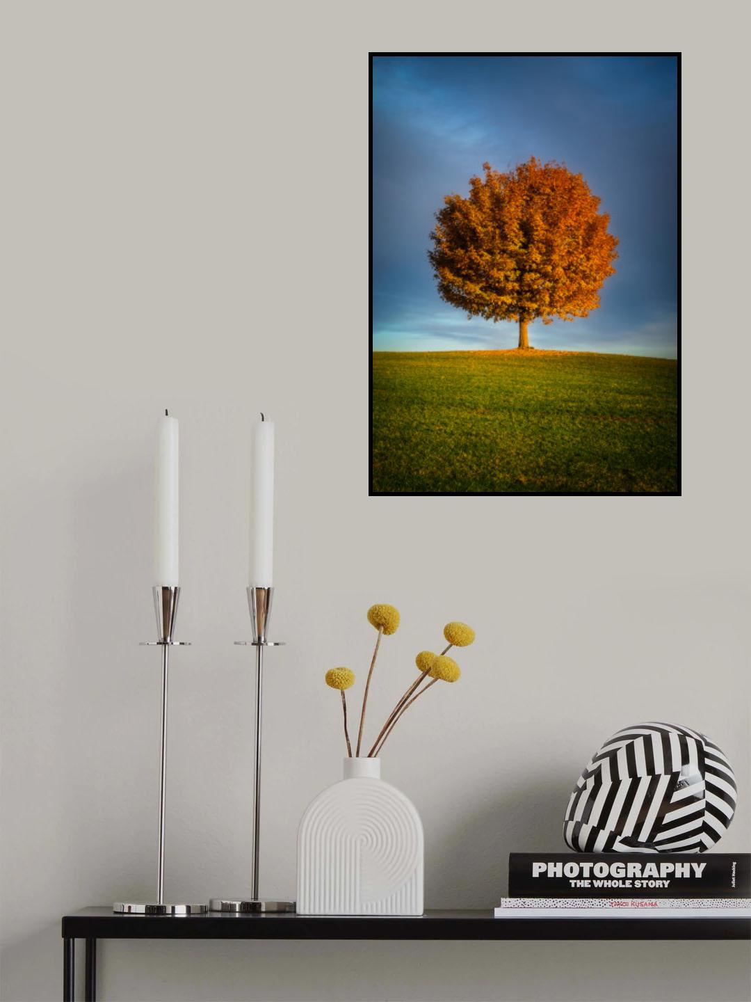 Contrast 💚🧡💙 Poster och Canvastavla