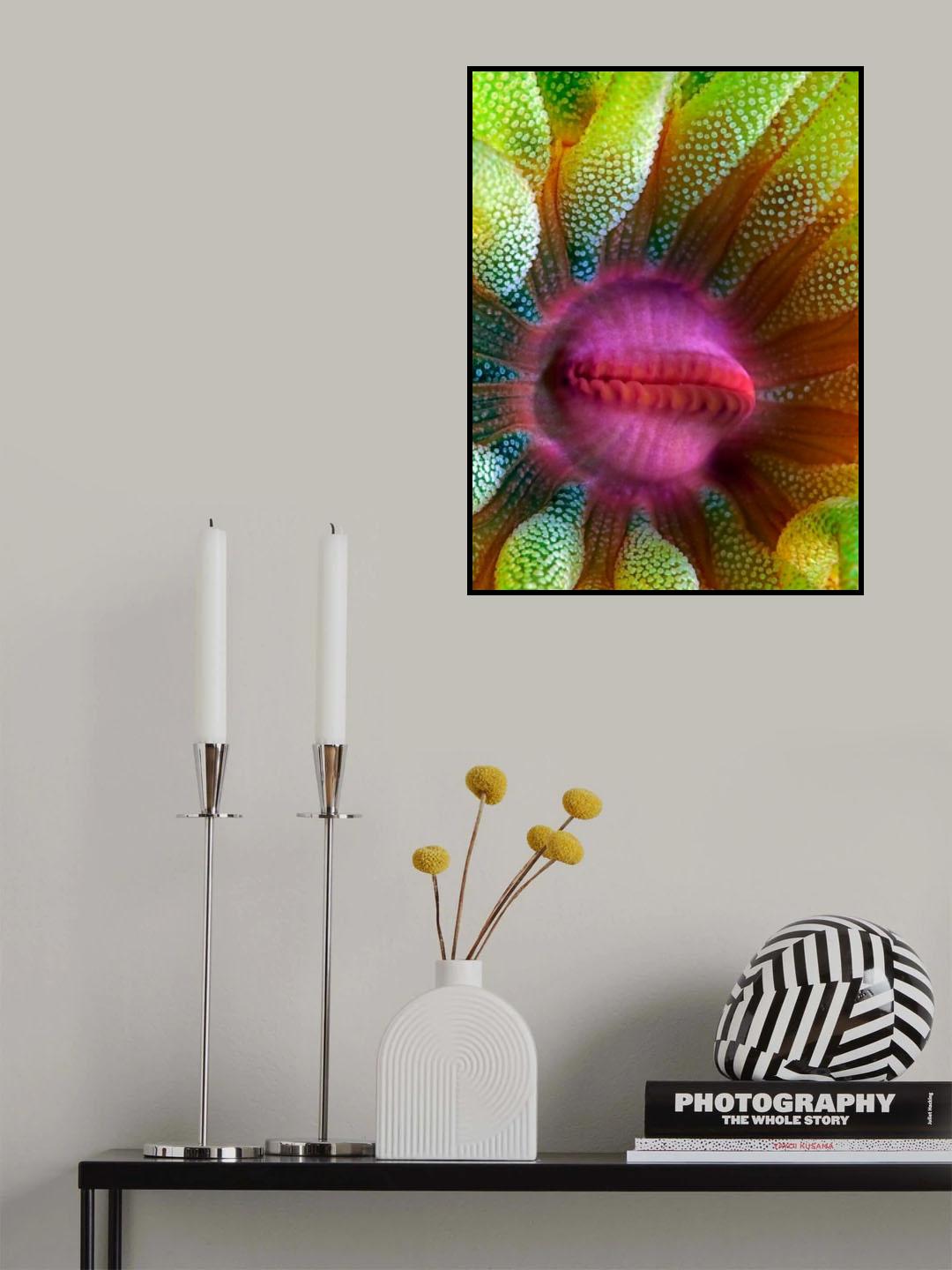 Cup Coral Portrait Poster och Canvastavla