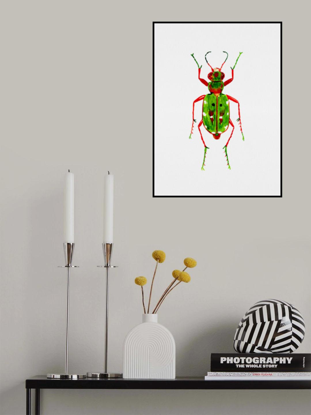 Green tiger beetle or Cicindela campestris Poster och Canvastavla