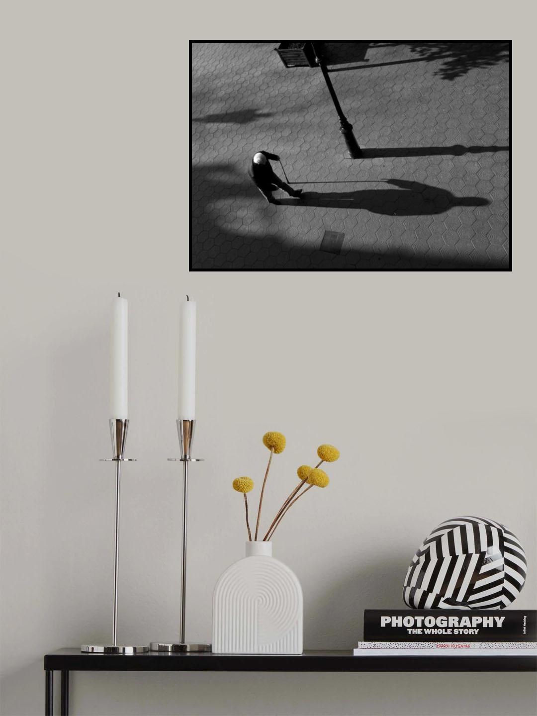 The shadow Poster och Canvastavla