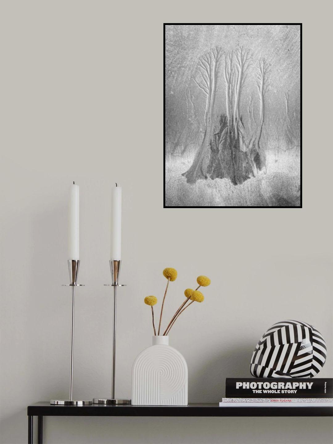 Mangrove… Poster och Canvastavla