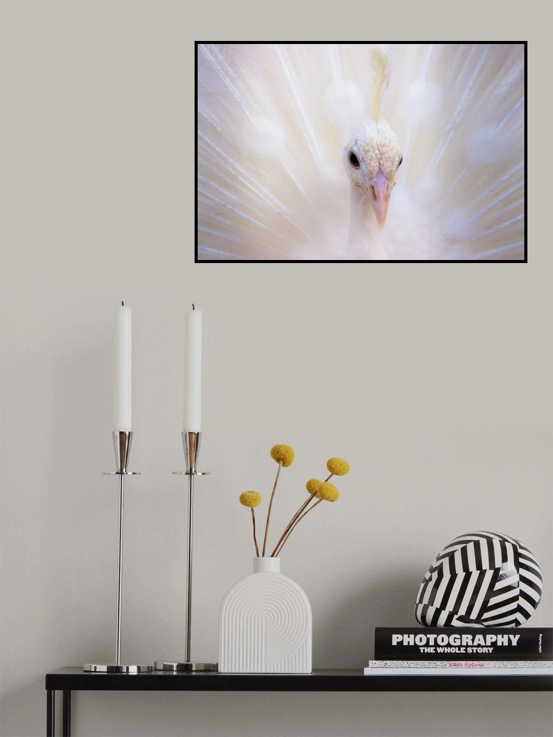 Royal Purity Poster och Canvastavla