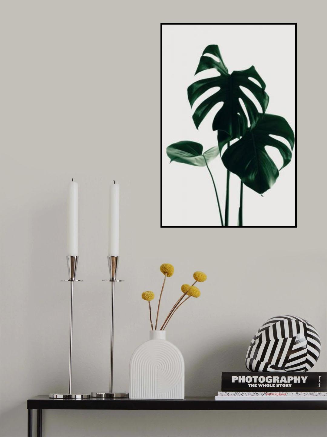 Monstera Natural 29 Poster och Canvastavla