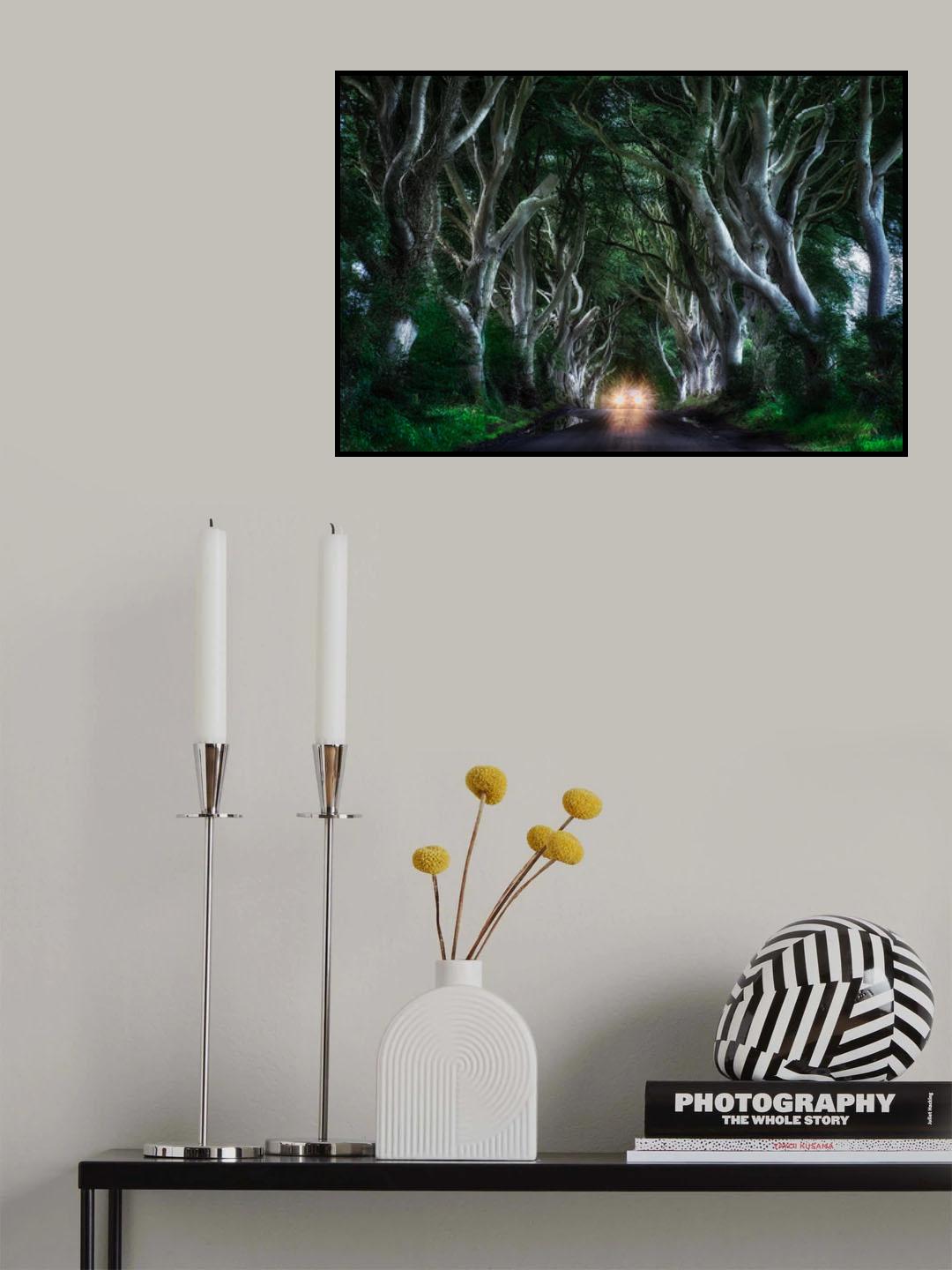The Dark hedges Poster och Canvastavla