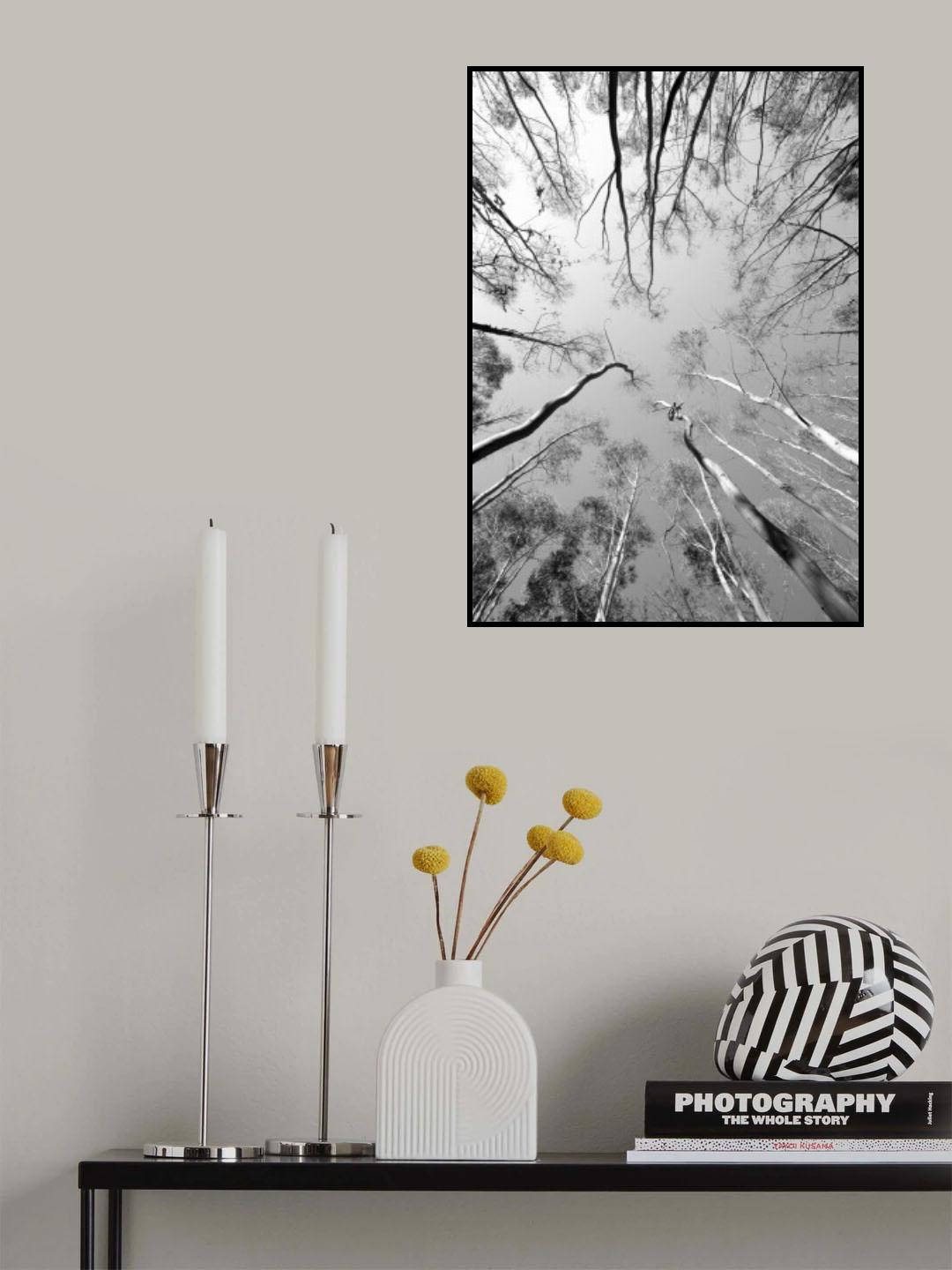 Tree Study 012 Poster och Canvastavla