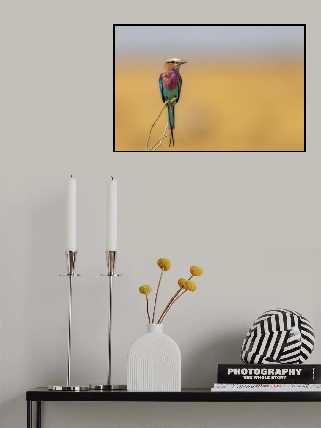 Roller Poster och Canvastavla