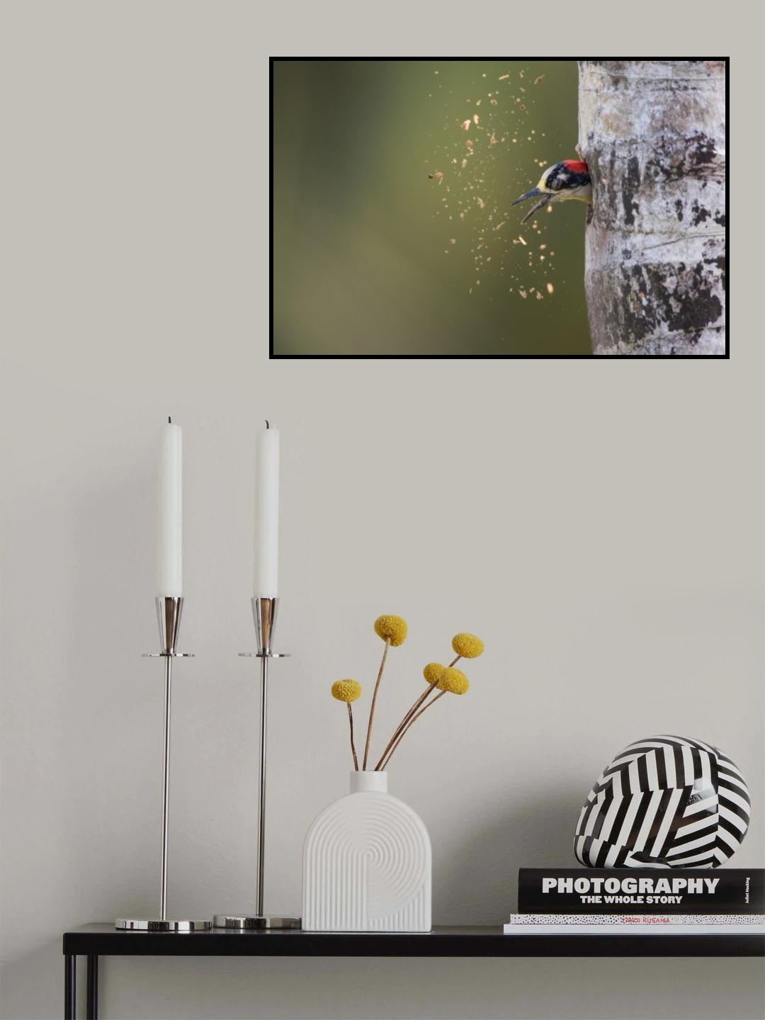 Spring Cleaning Poster och Canvastavla