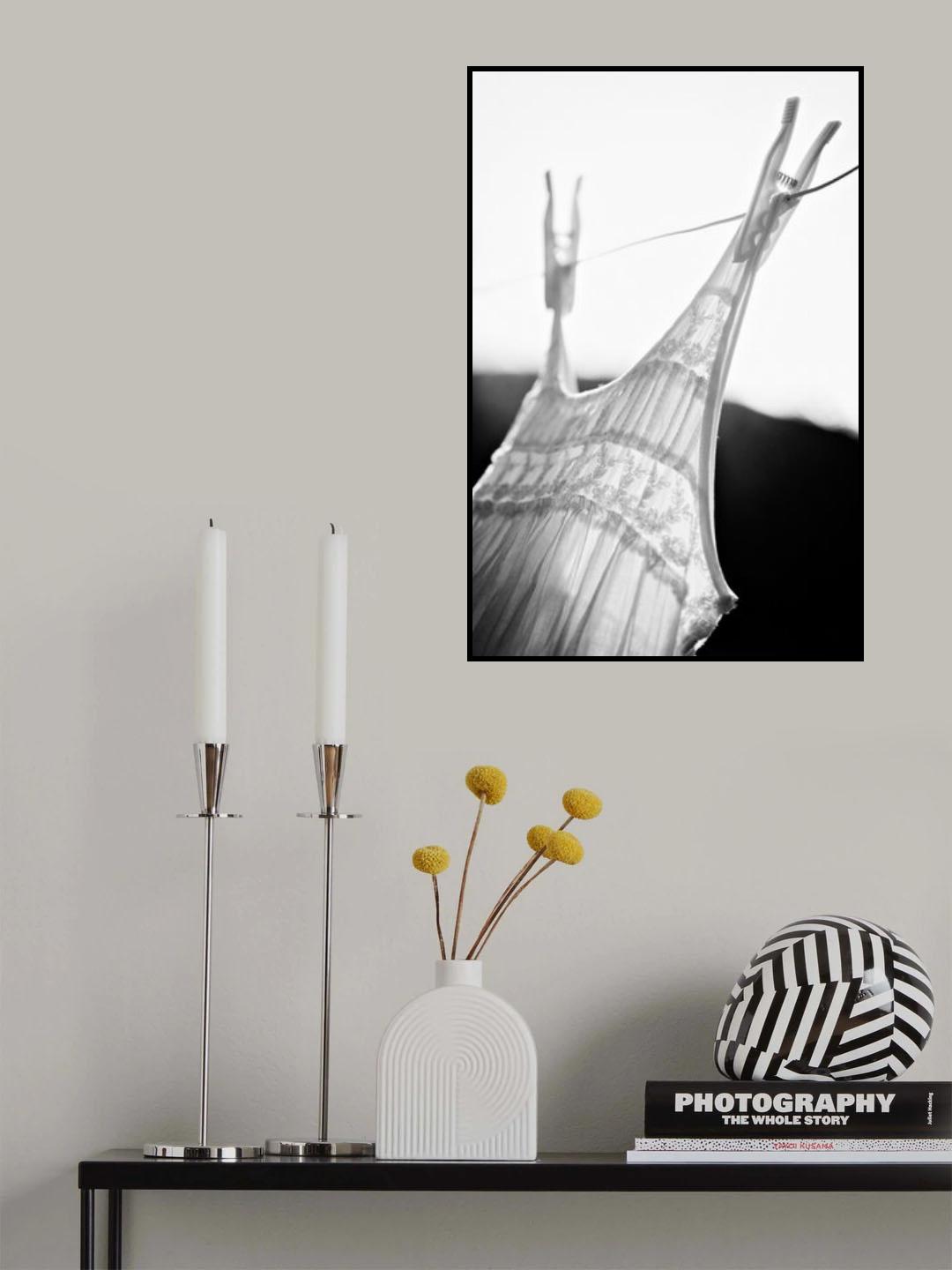 she is free Poster och Canvastavla