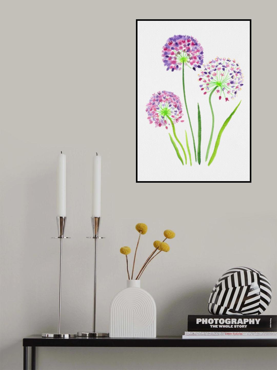 Giant onion or Allium giganteum botanical painting Poster och Canvastavla