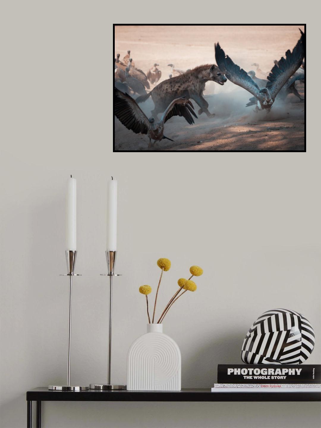 Don't you dare! Poster och Canvastavla