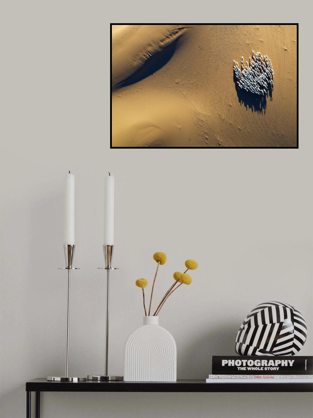 Sheep Poster och Canvastavla