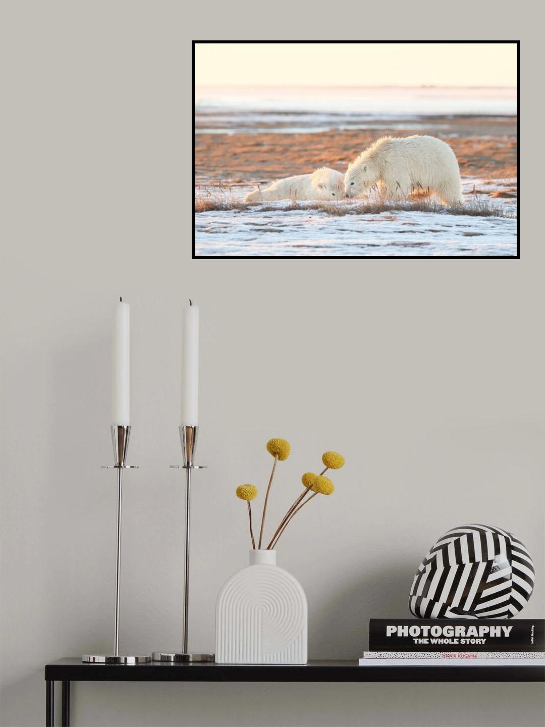 Before getting dark Poster och Canvastavla