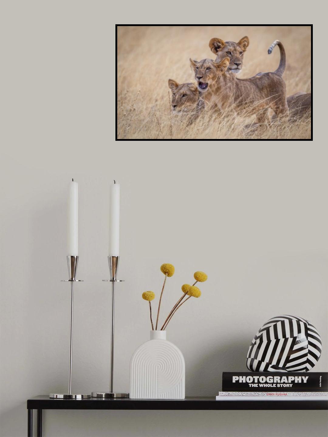 Boys at play Poster och Canvastavla