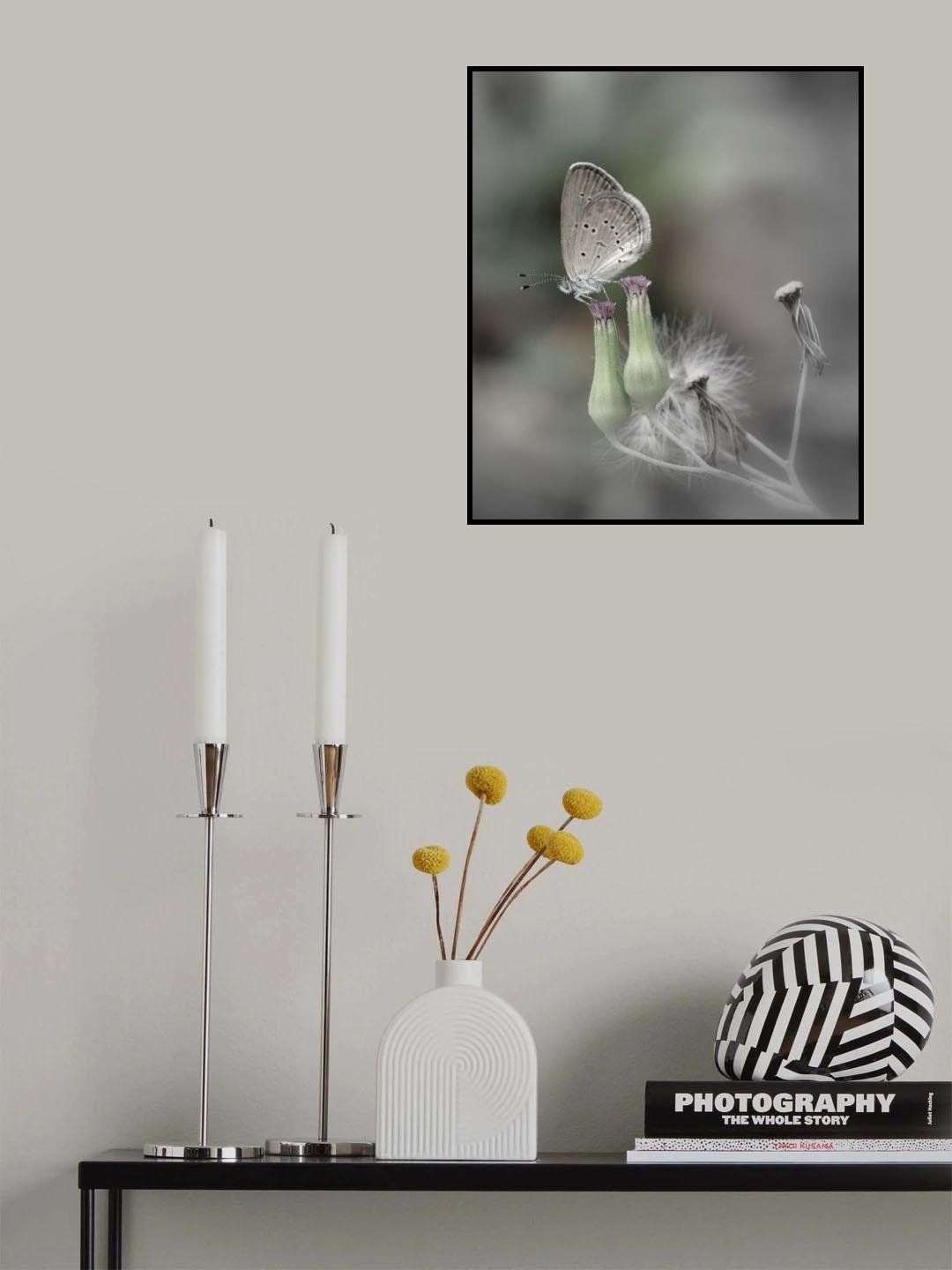 pondering Poster och Canvastavla