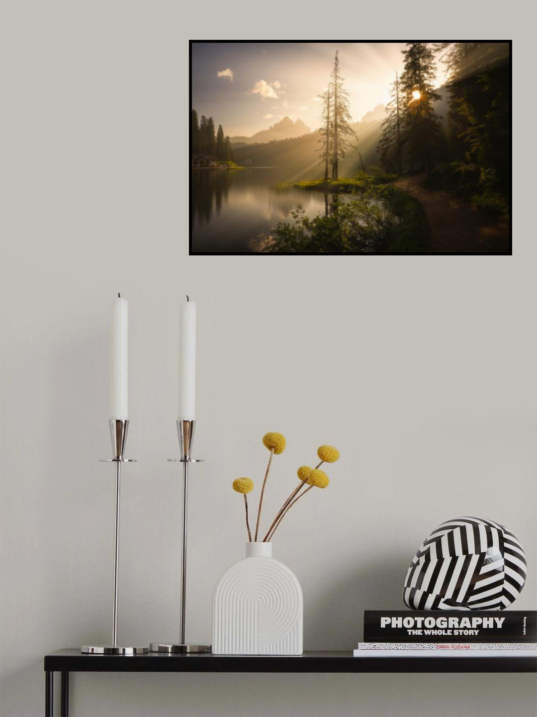 Morning Light Poster och Canvastavla