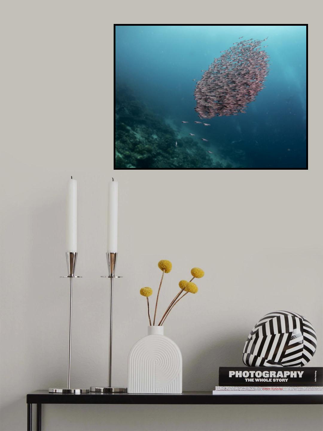 Striped Catfish (Plotosus lineatus) Poster och Canvastavla