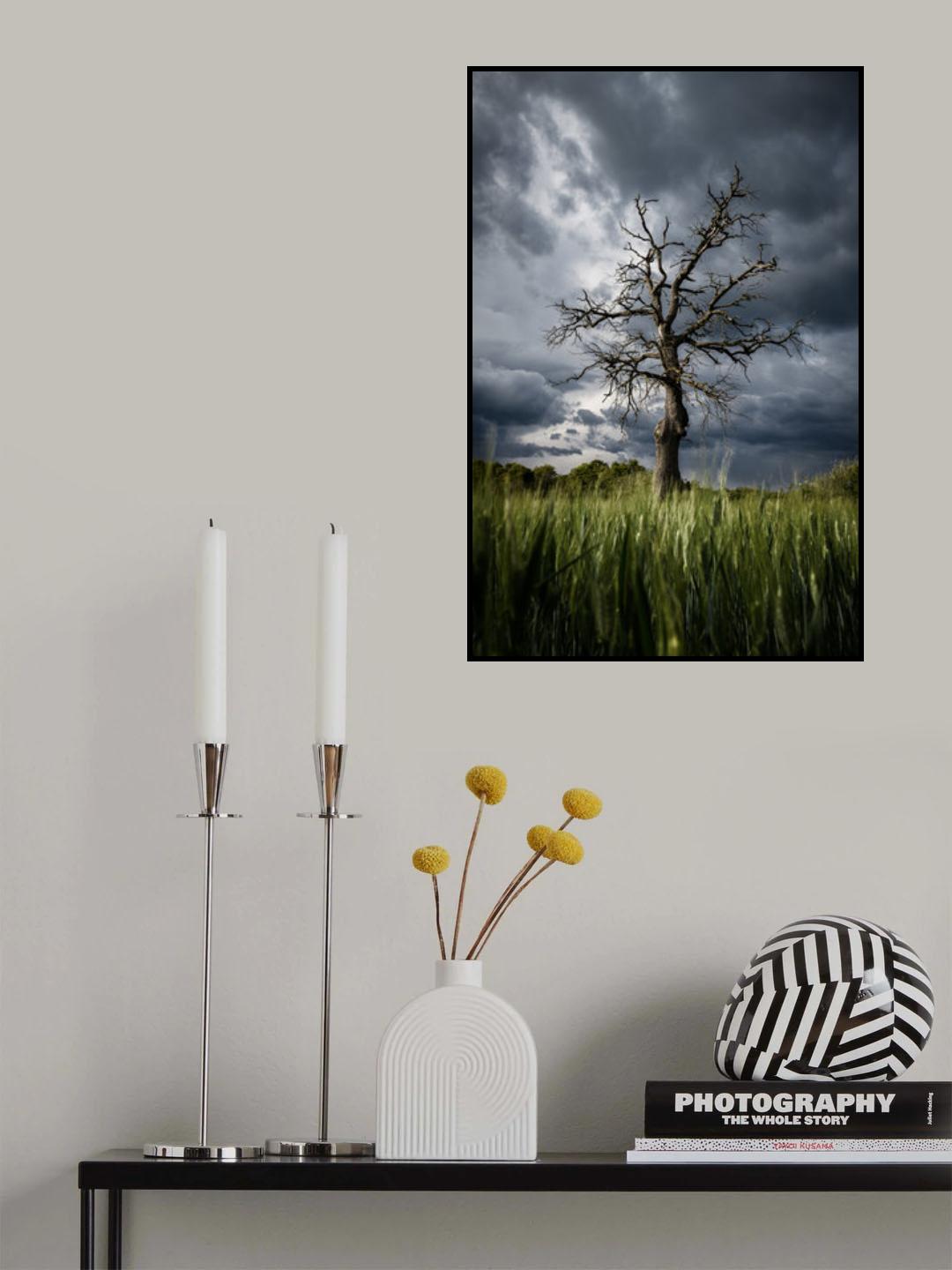 stormy weather Poster och Canvastavla