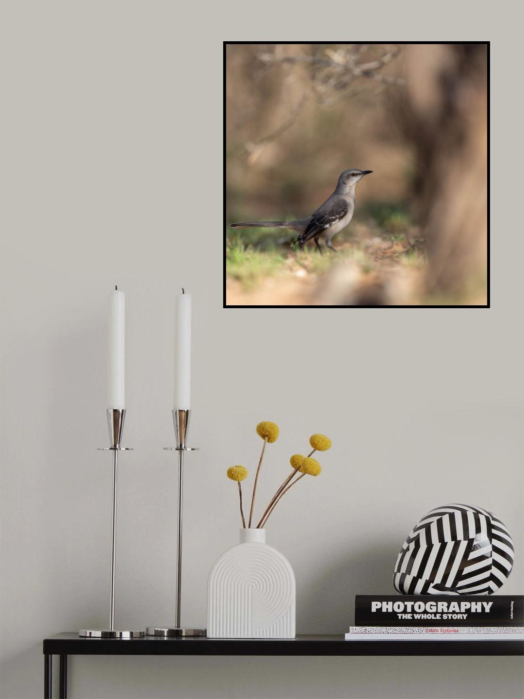Taking a moment Poster och Canvastavla