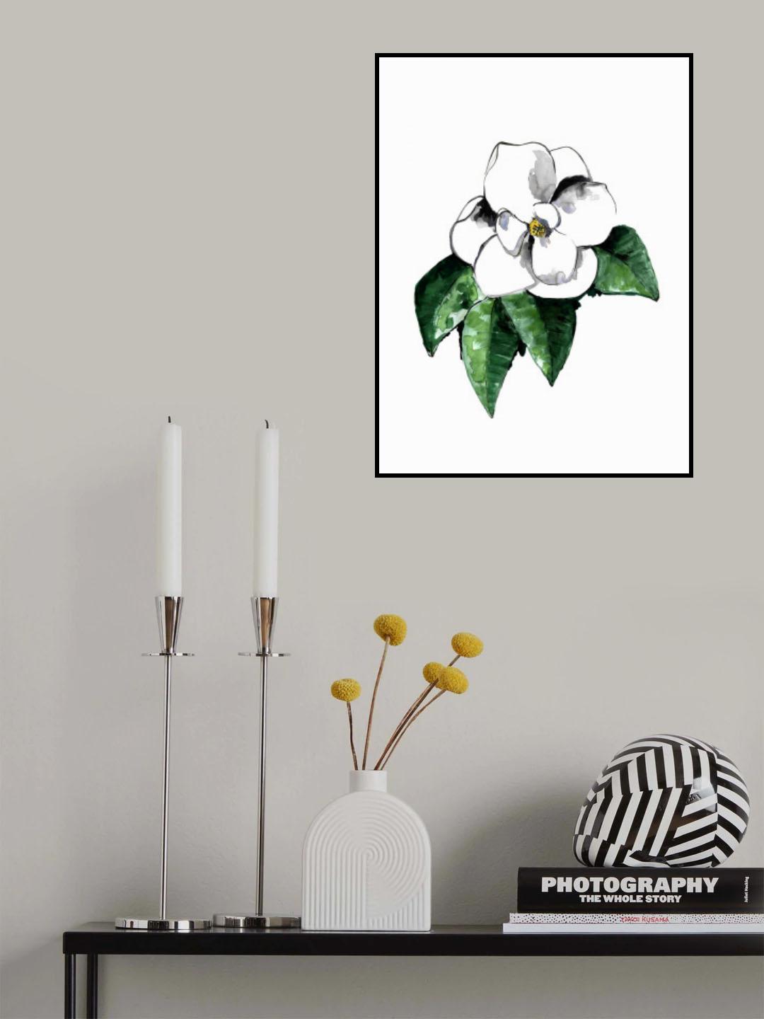 White magnolia Poster och Canvastavla