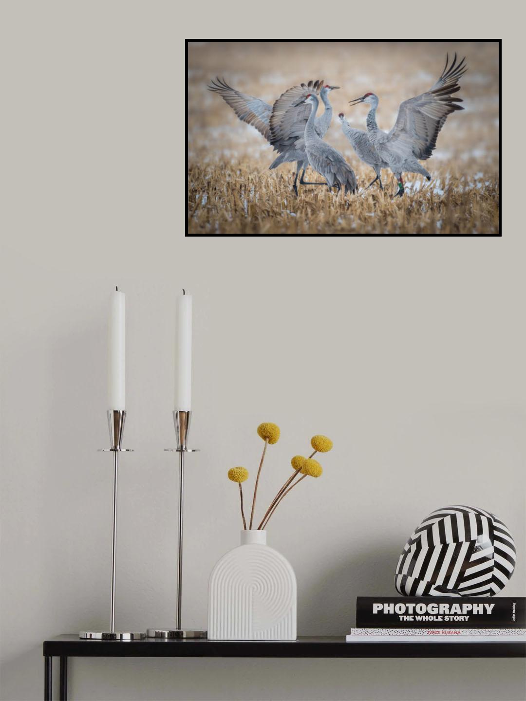 Discord Poster och Canvastavla