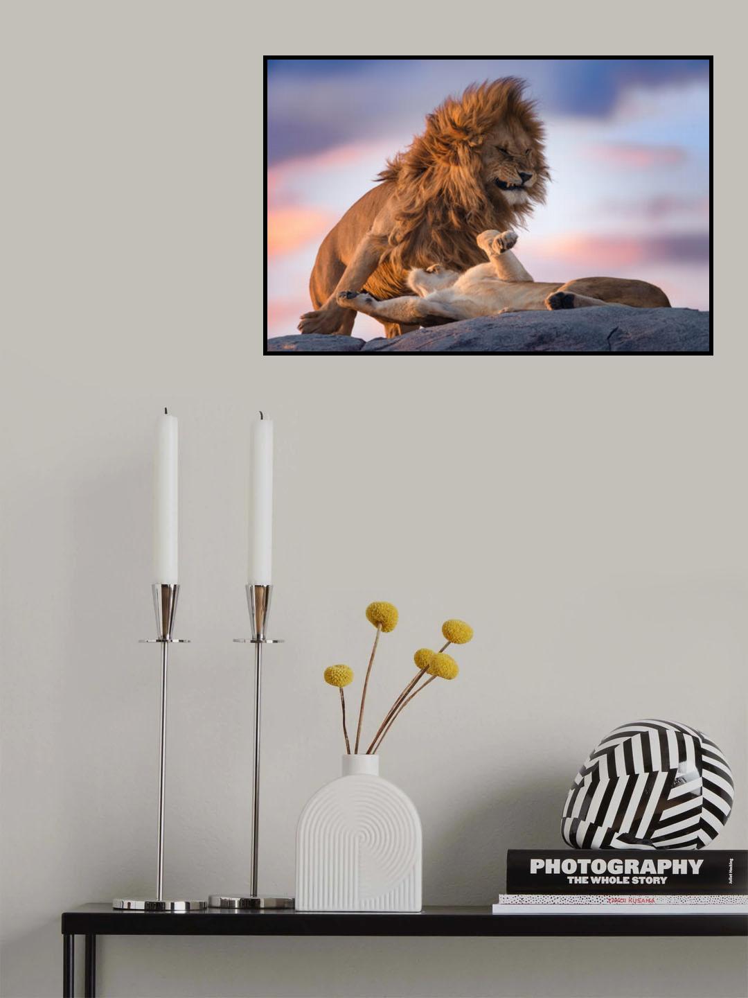 Wild Love Poster och Canvastavla