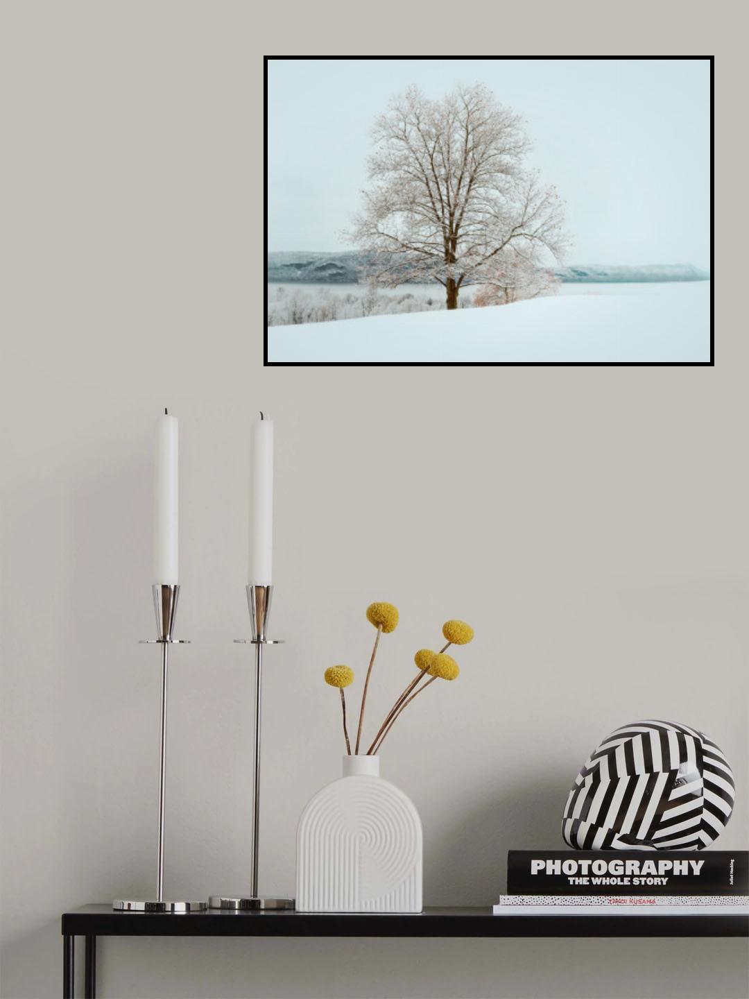 Winter's solitude Poster och Canvastavla