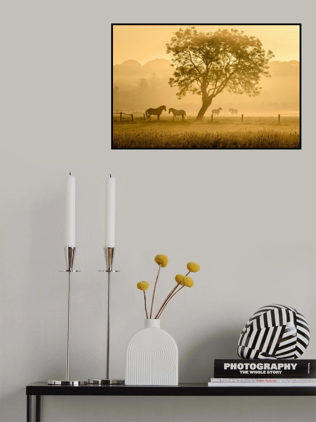 Golden Horses Poster och Canvastavla