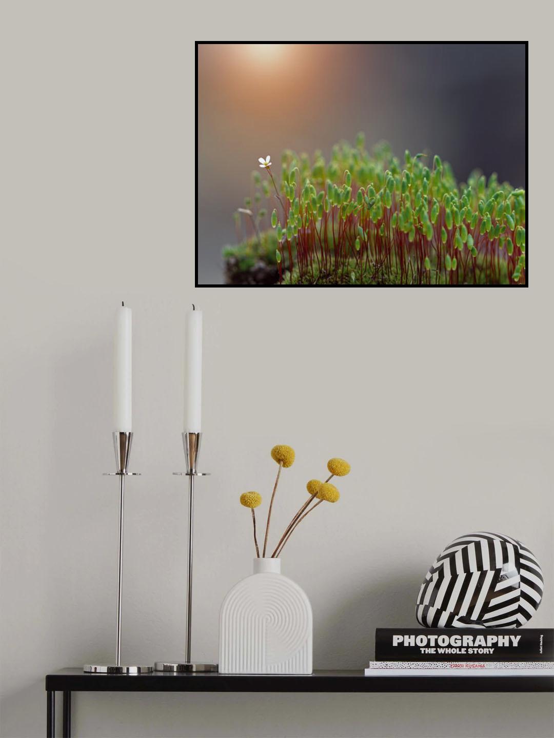 ...*\.I`II``II``I Poster och Canvastavla