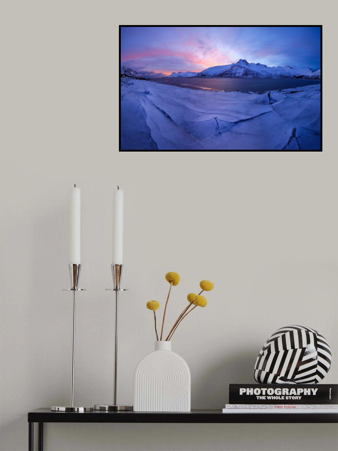 on ice Poster och Canvastavla