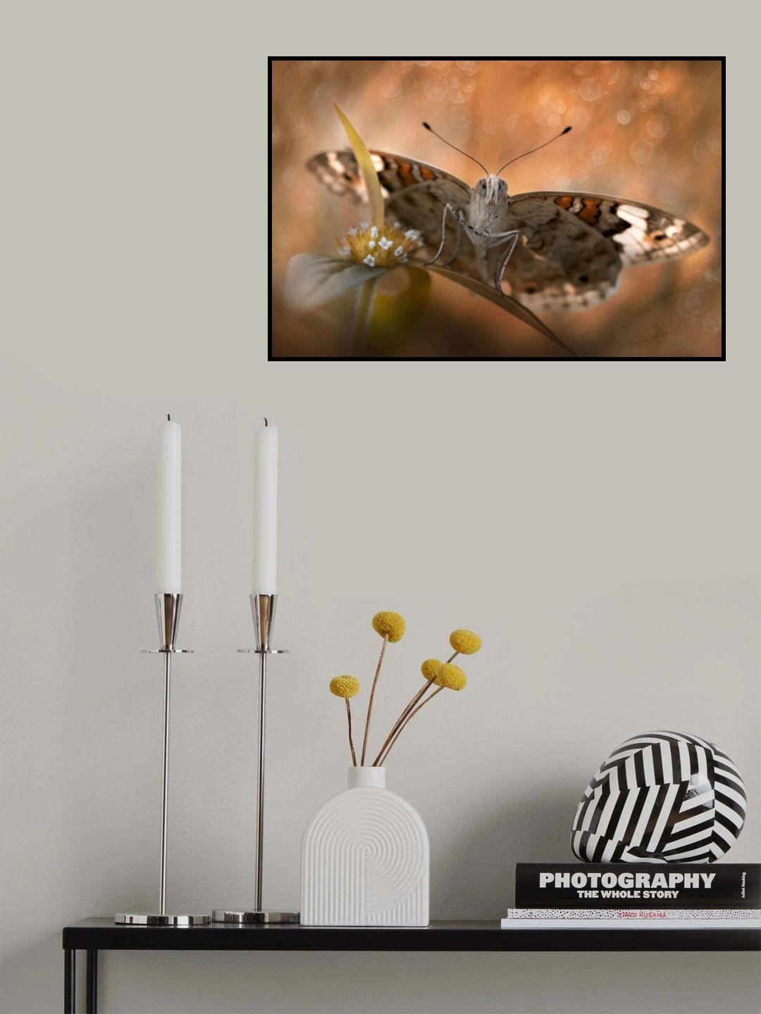 Like A Phoenix Poster och Canvastavla