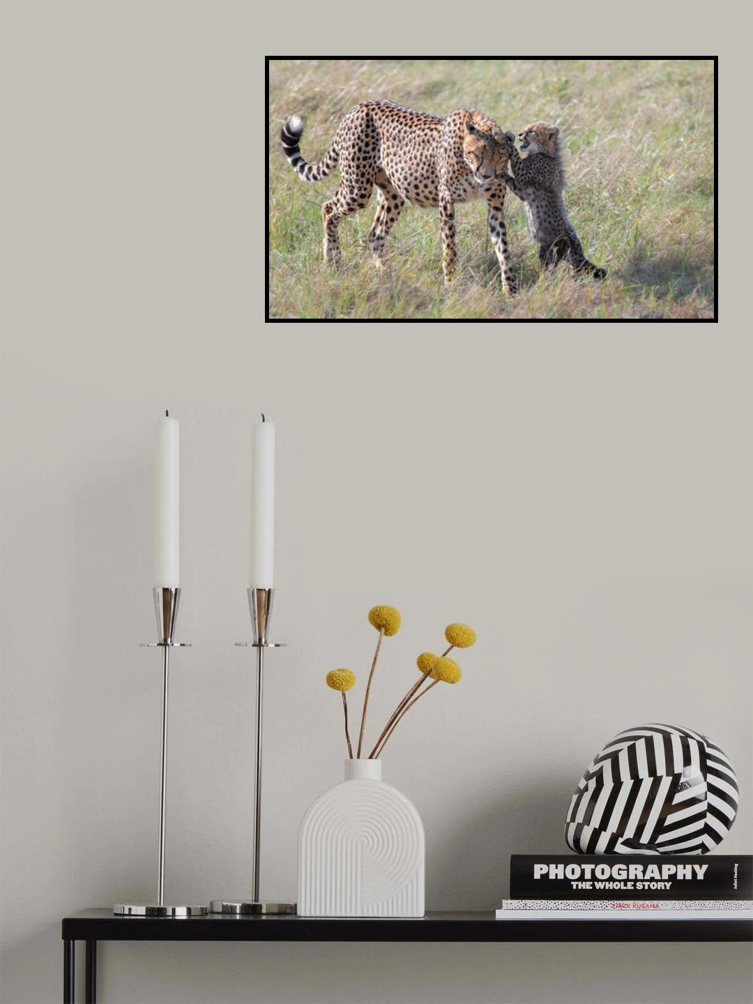 Play with Mom Poster och Canvastavla