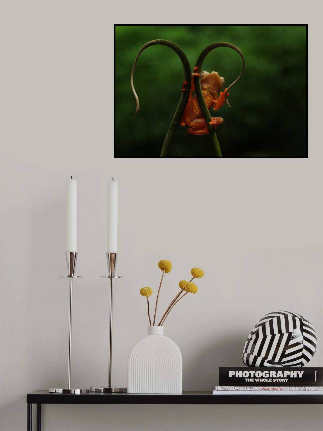 Red Frog Poster och Canvastavla