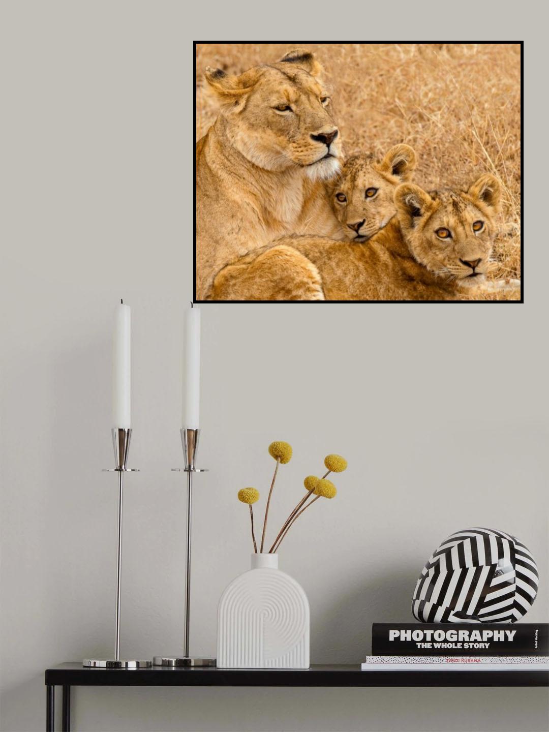 Ngorongoro proud mother Poster och Canvastavla