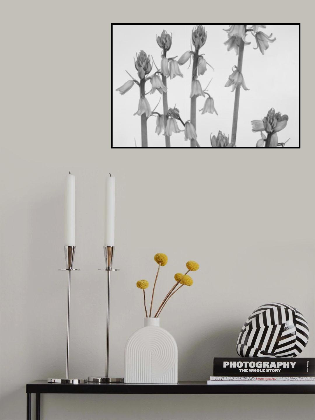 Spring Poster och Canvastavla