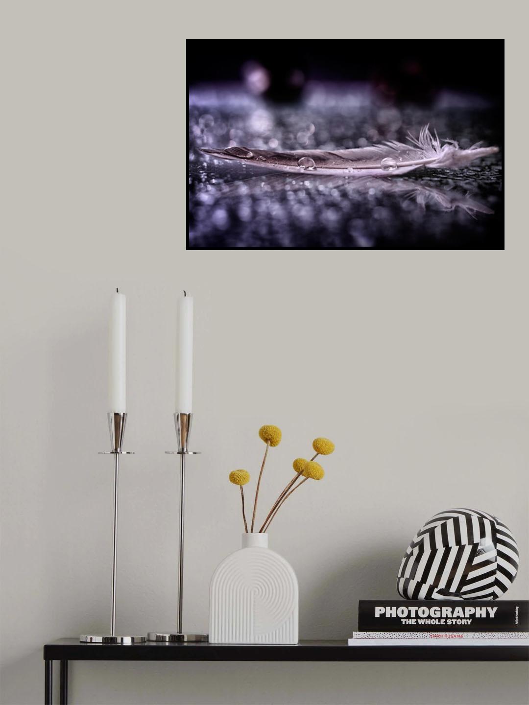 Feather and Drop II Poster och Canvastavla