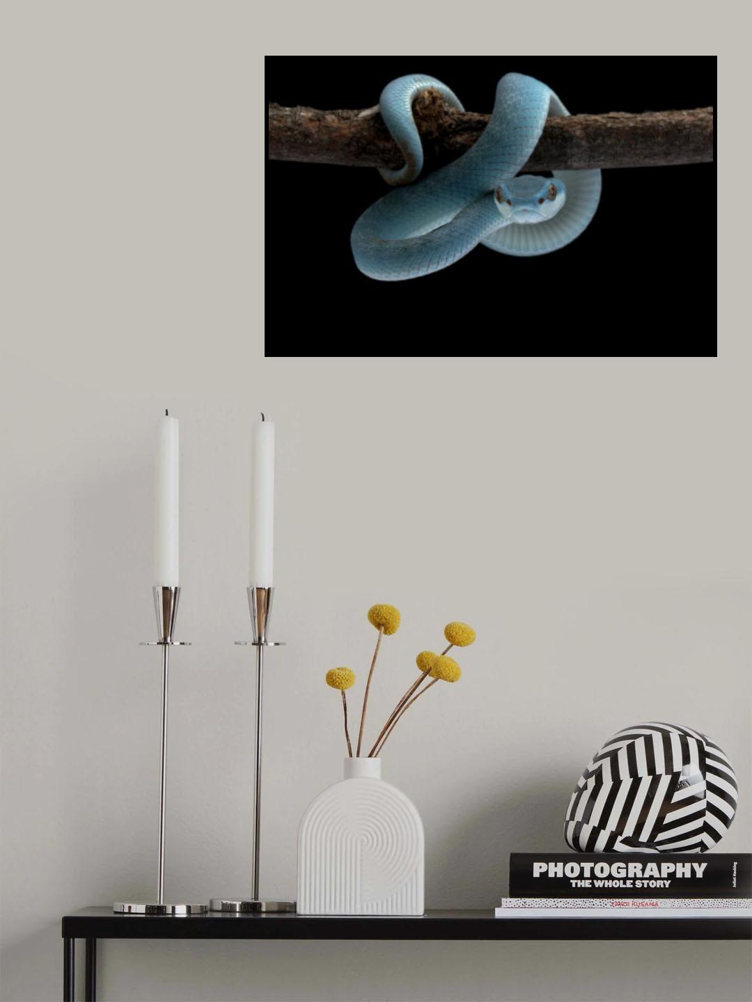 Deadly blue Poster och Canvastavla