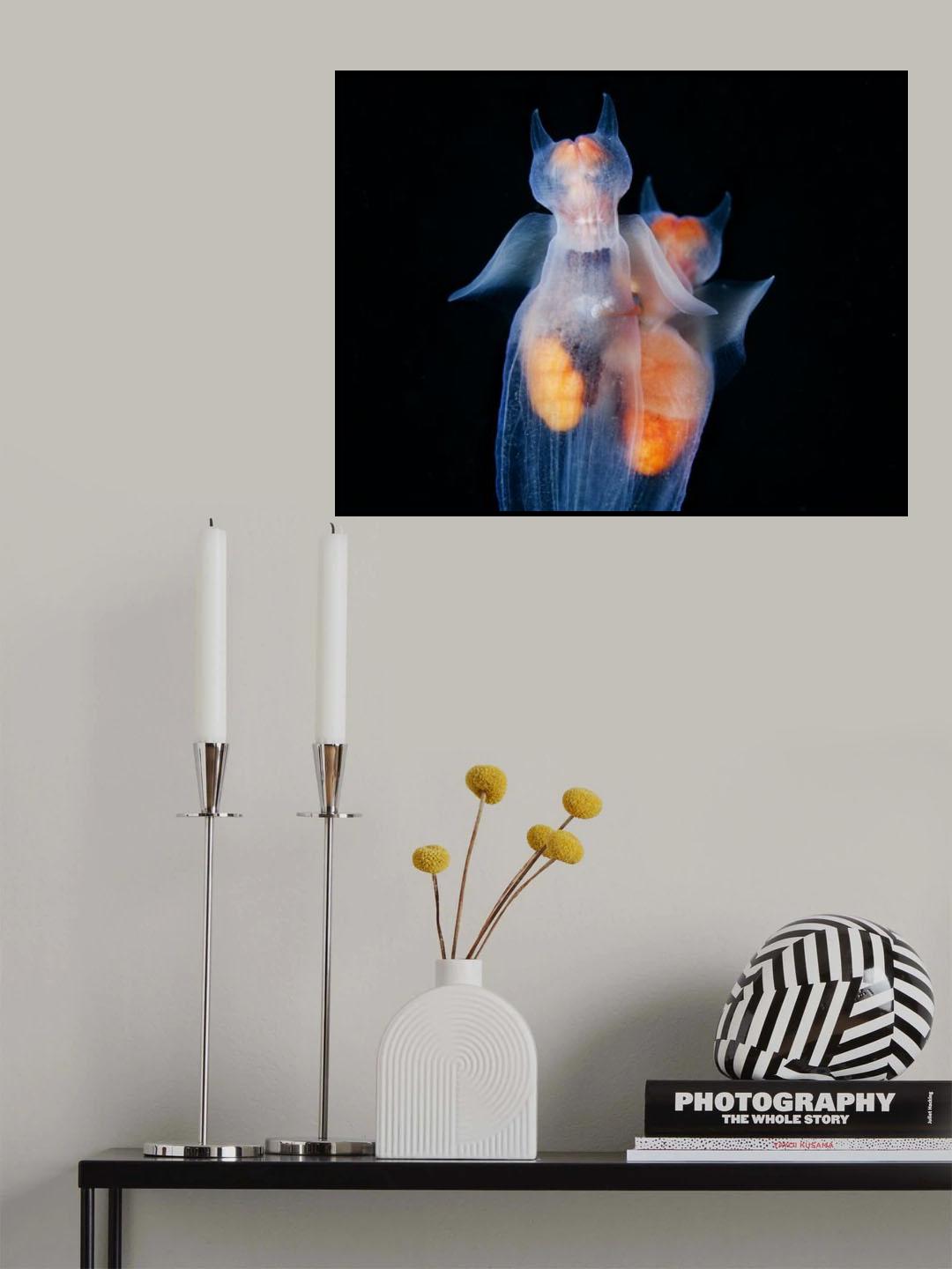 Angels in love Poster och Canvastavla