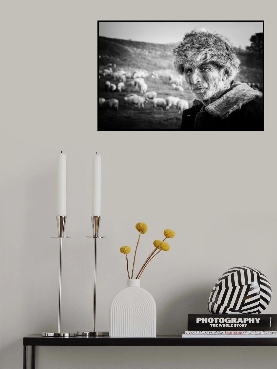 The shepherd Poster och Canvastavla