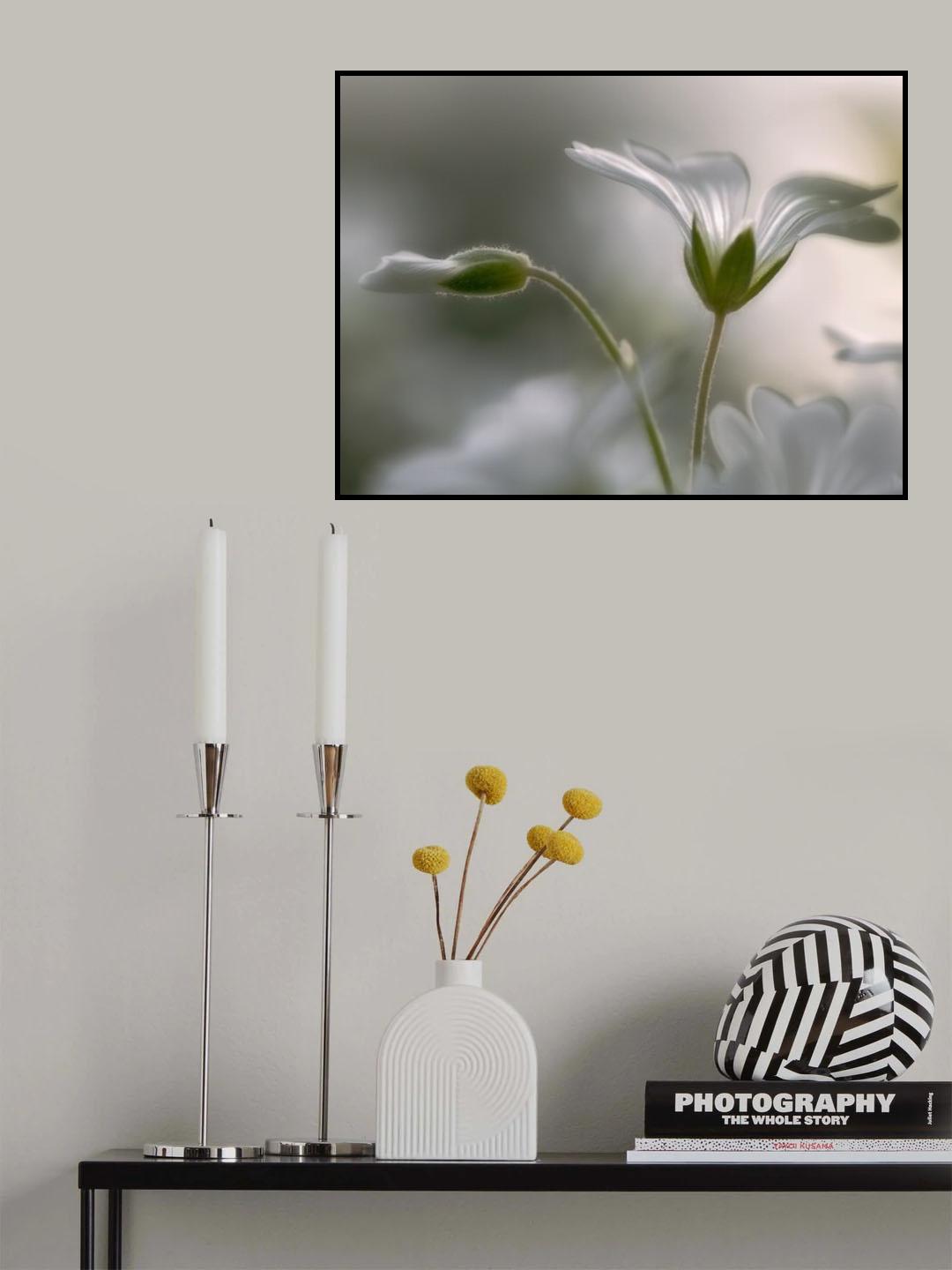 "Translucent" Poster och Canvastavla