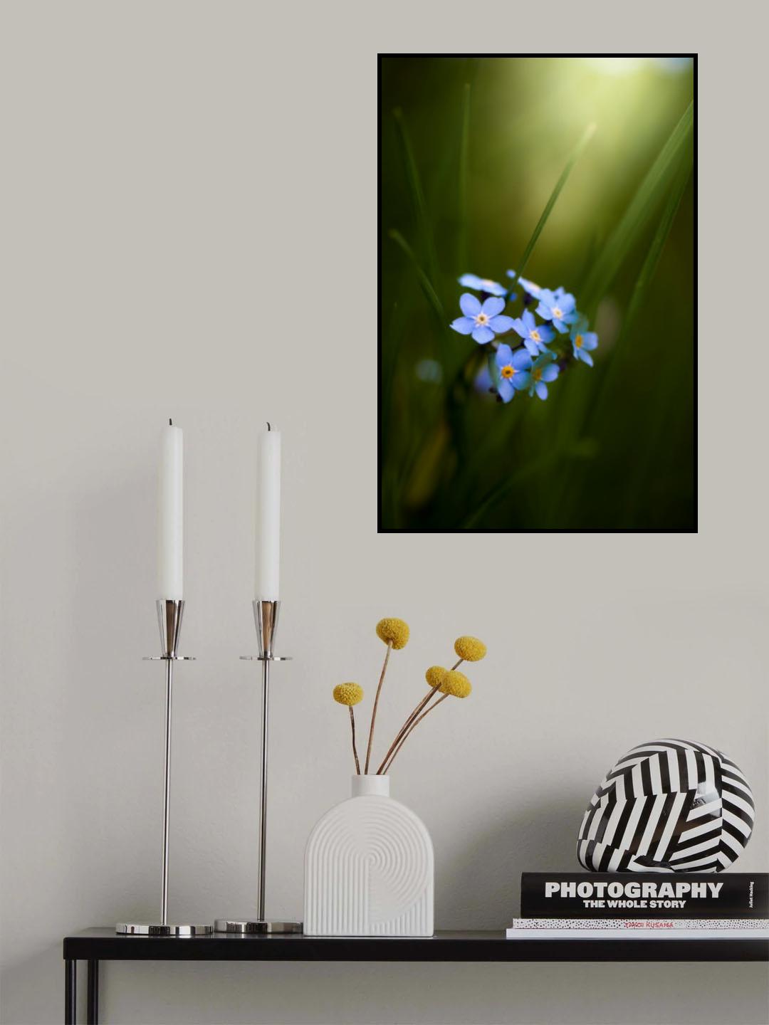 Forget-me-not Poster och Canvastavla
