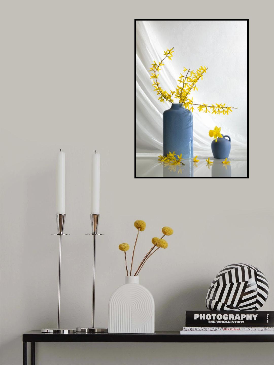 Forsythia flower Poster och Canvastavla