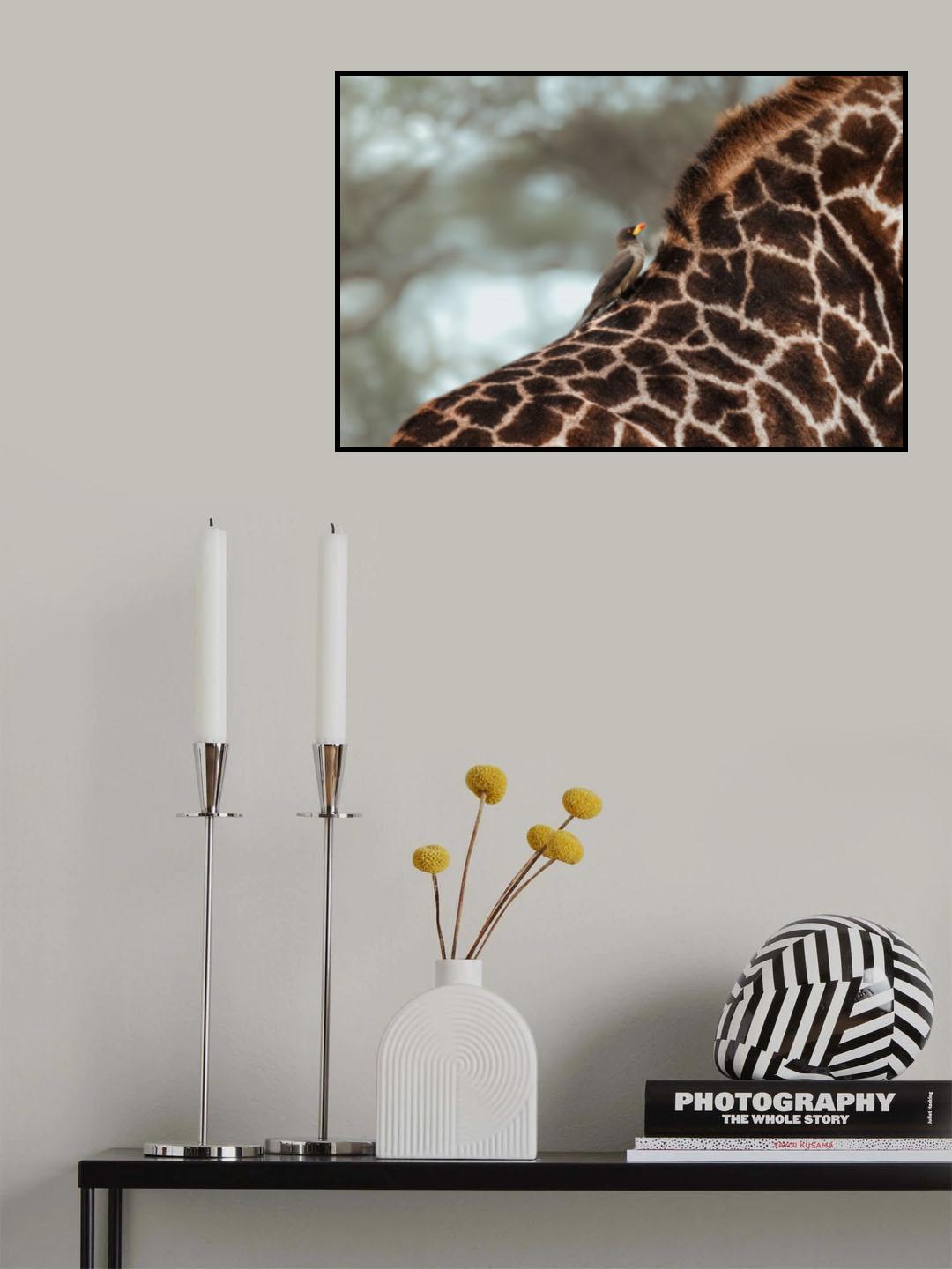Best friends Poster och Canvastavla